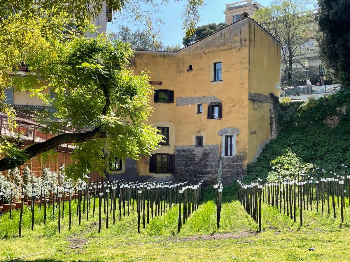 Il Mulino Di Trastevere - My Extra Home Roma Dış mekan fotoğraf